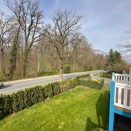 Eva Balkon Haustier *