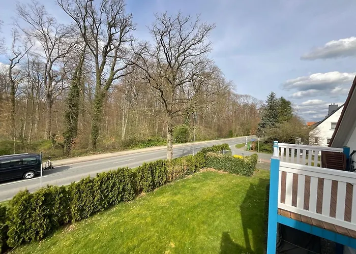 Eva Balkon Haustier *